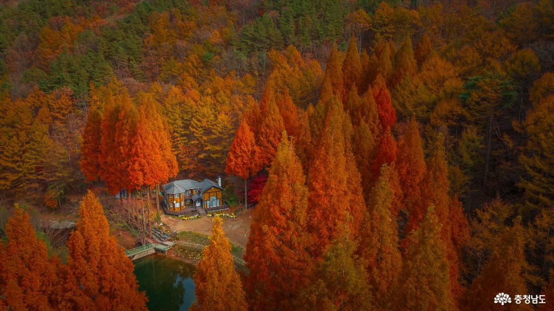 충남SNS핫플! 드라마촬영의 성지 논산 온빛자연휴양림 아름다운 메타풍경 