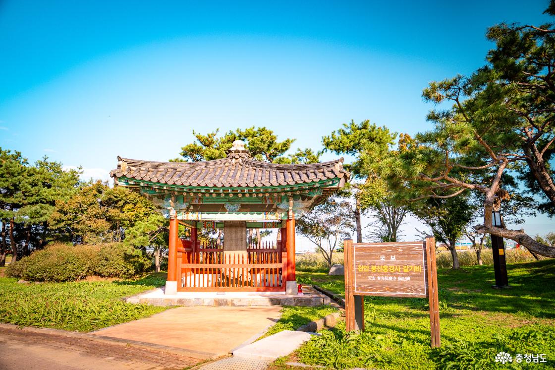 코스모스와 함께 걷는 고려의 길, 봉선홍경사 갈기비