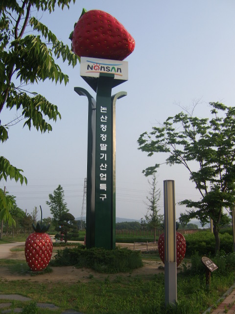 공원에 설치된 논산자랑 딸기 홍보구조물