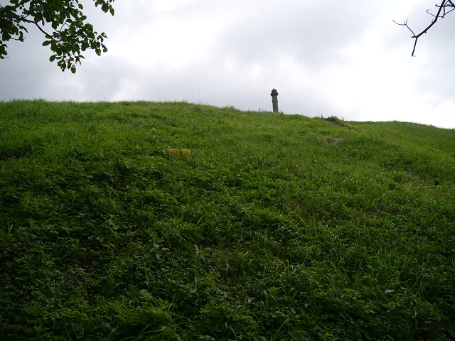 묘가 있는 가야산 구릉 아래에서 올려다 본 묘지 터. 상석만 보입니다.