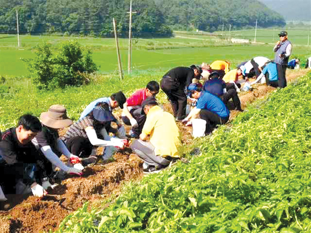 충남도 농업기술원이 한국철도공사와 협력해 올 6월 19일부터 21일까지 실시한 도시민 귀농교육 모습