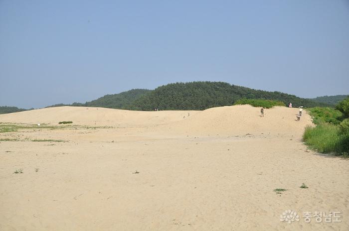 한국에도 1만5천년경에 만들어진 사막이 있다 사진