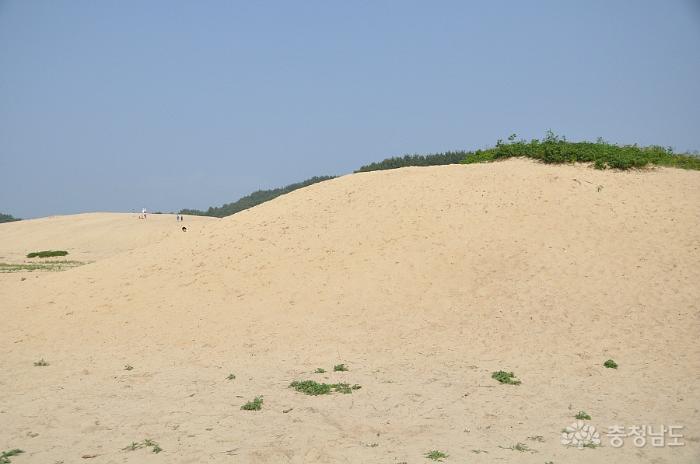 한국에도 1만5천년경에 만들어진 사막이 있다 사진