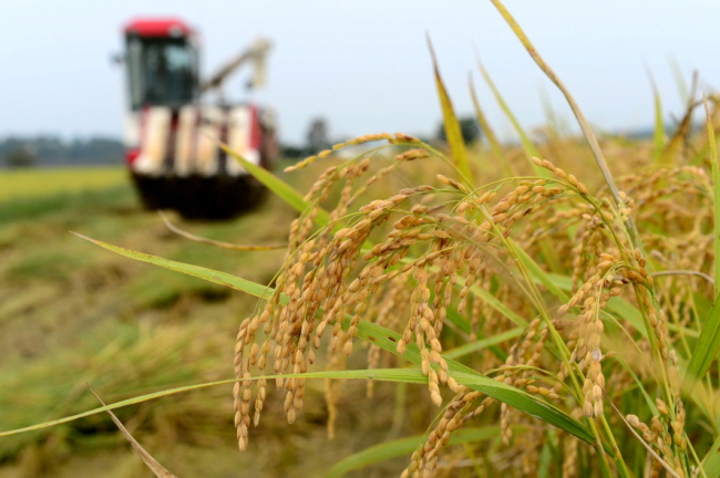 국내 최대 규모의 친환경쌀 재배단지가 조성되어 있는 홍성군 홍동면에서 친환경쌀 추수가 시작됐다. 