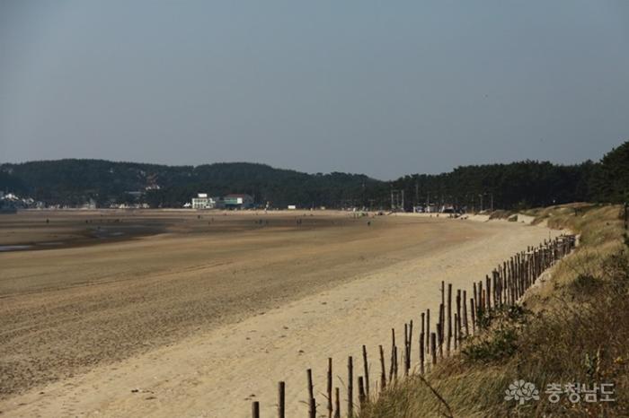 몽산포해변