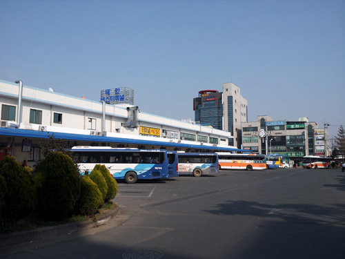 태안발 인천공항행 4시 버스 운행 중단