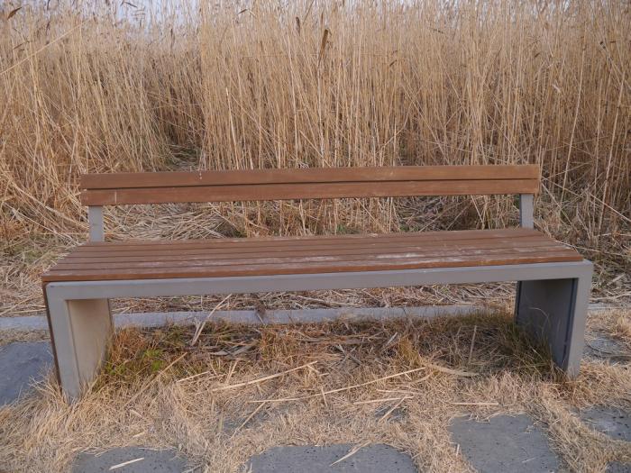 장관의 서천 신성리 갈대밭의 겨울 풍경 사진