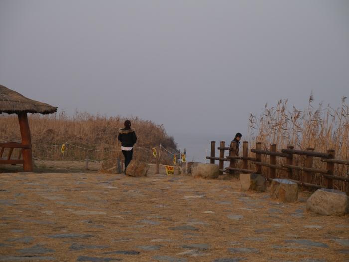 장관의 서천 신성리 갈대밭의 겨울 풍경 사진