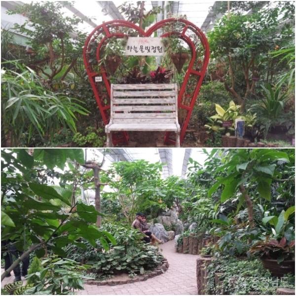 허브 열대식물원