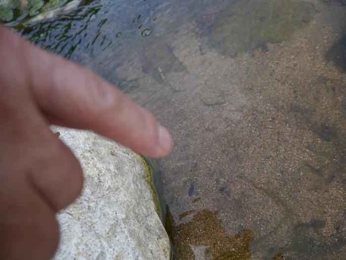 손가락으로 맑고 투명해진 물을 가리켜 보이십니다