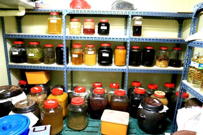 조미료 원재료인 수많은 발효식품들이 숙성돠고 있는 라파힐의 보물창고