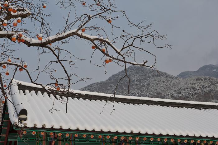첫 눈 내린 천년고찰 계룡산 신원사의 설국 풍경 사진