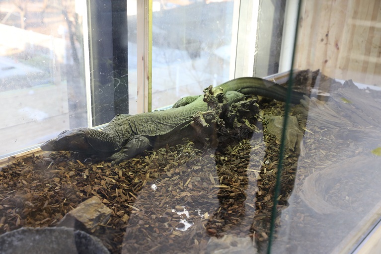 스무살 청년이 만든 대규모 희귀 파충류 전시관 사진
