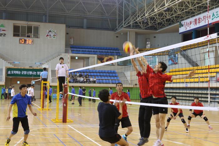청양교육장기 배구대회에서 가남·운곡초 연합팀(오른쪽)과 정산·청양고 연합팀이 경기를 펼치고 있다. 