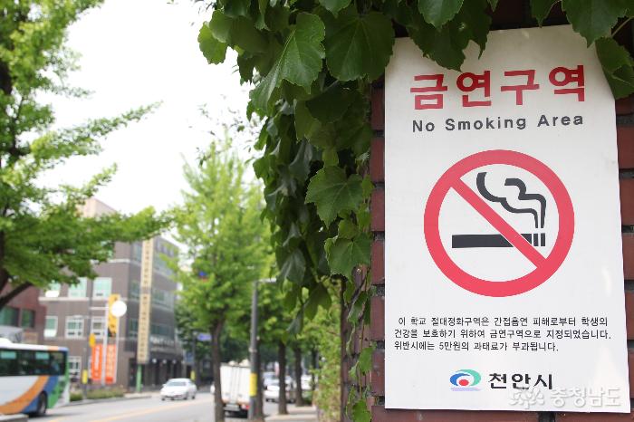 담배연기없는사회세계금연의날 1
