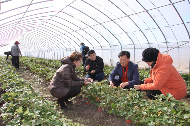 ‘청양 농업기술’ 몽골 농촌 살린다 사진