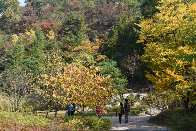 영인산수목원  '가을아 반가워' 사진