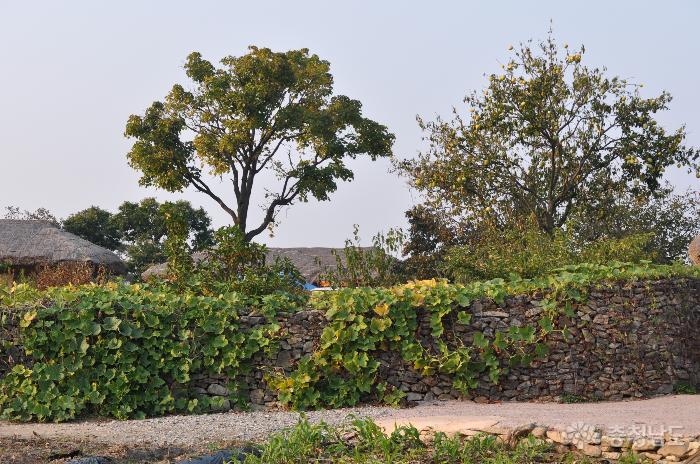 가을이 있는 풍경 '외암민속마을' 사진