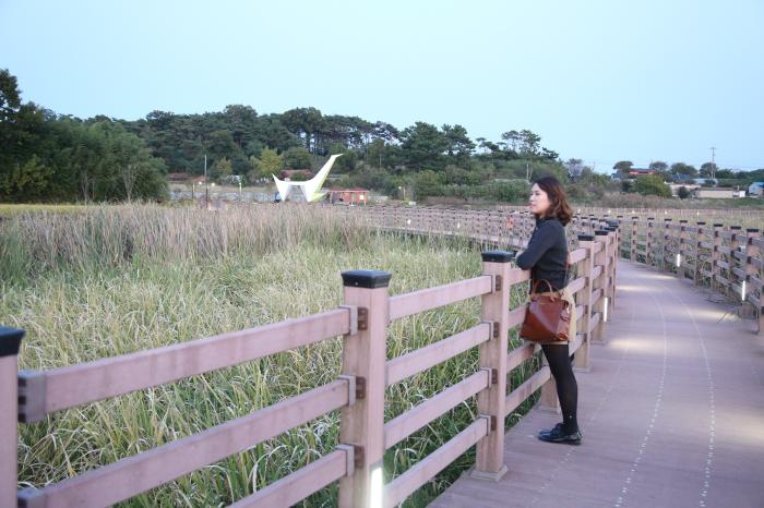 [가을 저녁 걷기 좋은 길] 당산저수지 생태공원 사진