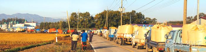 10월 30일 아침, 고덕 상장리에 소재한 농협통합RPC로 산물벼를 싣고 온 트럭들이 장사진을 치고 있다. ⓒ 무한정보신문