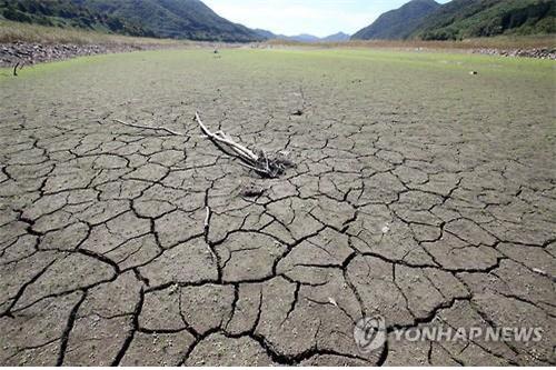 가뭄으로 바닥까지 말라버린 보령 댐  (출처 연합뉴스)
