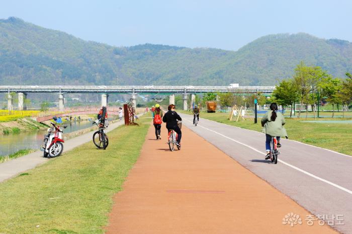 노란 유채꽃과 분홍 꽃잔디, 튜울립이 아름답게 피어있는 금강둔치공원에서 시민들이 자전거를 타며 봄을 만끽하고 있다.