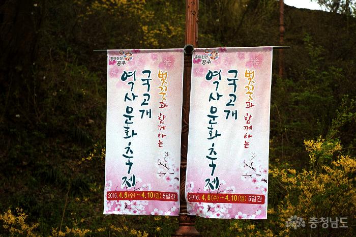 아름다운벚꽃속국고개역사문화축제 2