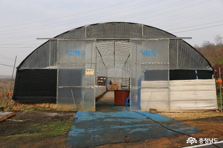 전해수 시험장이자 농작물을 재배하고 있는 비닐하우스.
