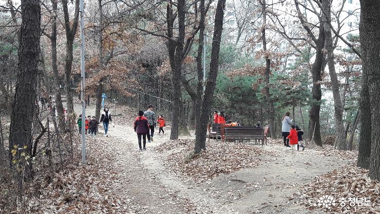 천안 일봉산에서 만수사까지 '힐링 산책' 사진