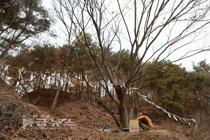 유구읍 석남리, 동해리 정월대보름맞이행사 사진