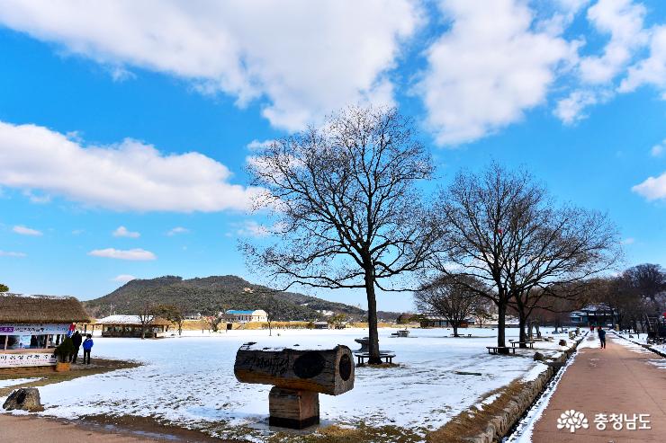 봄을 시샘한 겨울이 만든 해미읍성 풍경 사진