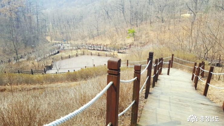 천안 봉서산 자연생태학습장의 봄소식 사진