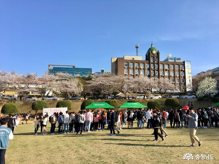 충남봄꽃10대명소순천향대캠퍼스벚꽃축제 3