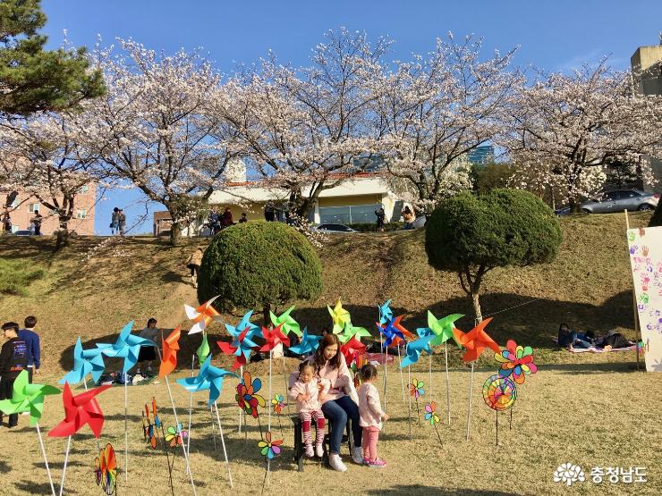 충남봄꽃10대명소순천향대캠퍼스벚꽃축제 6