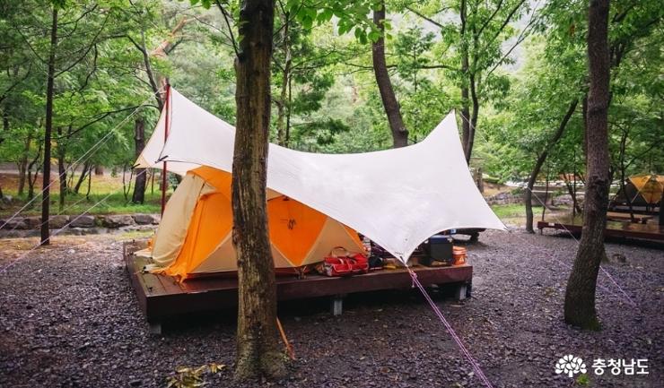 캠핑명소성주산자연휴양림캠핑장 3