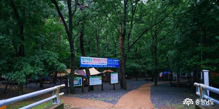 캠핑명소성주산자연휴양림캠핑장 4