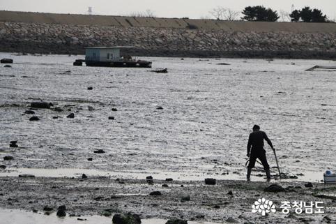 여름 초입에서 만난 당진의 바다 충남 당진시 석문면 장고항·왜목마을·도비도·난지섬 사진