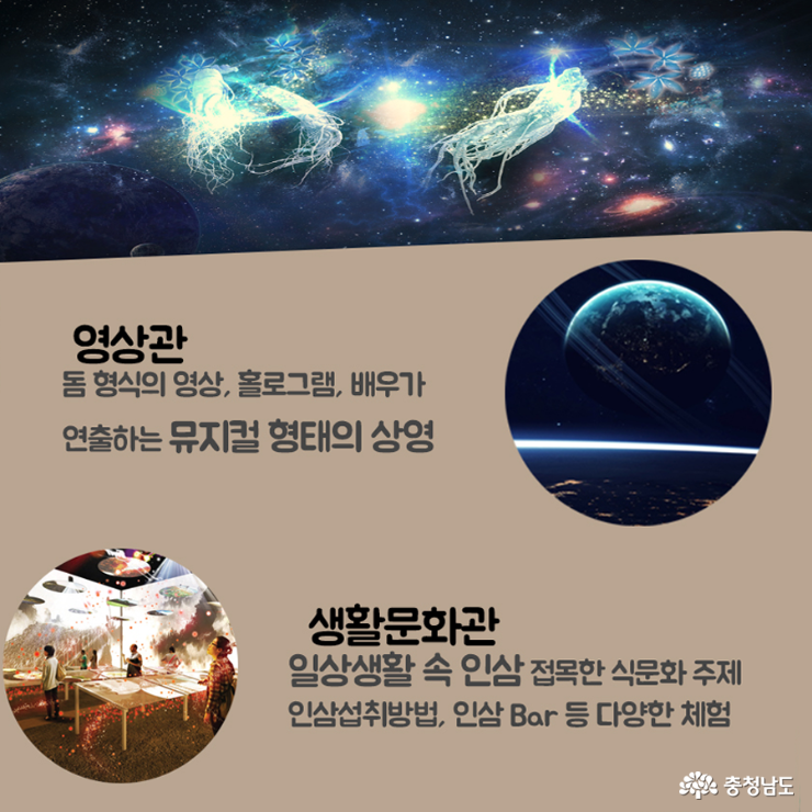 카드뉴스2017금산세계인삼엑스포 5