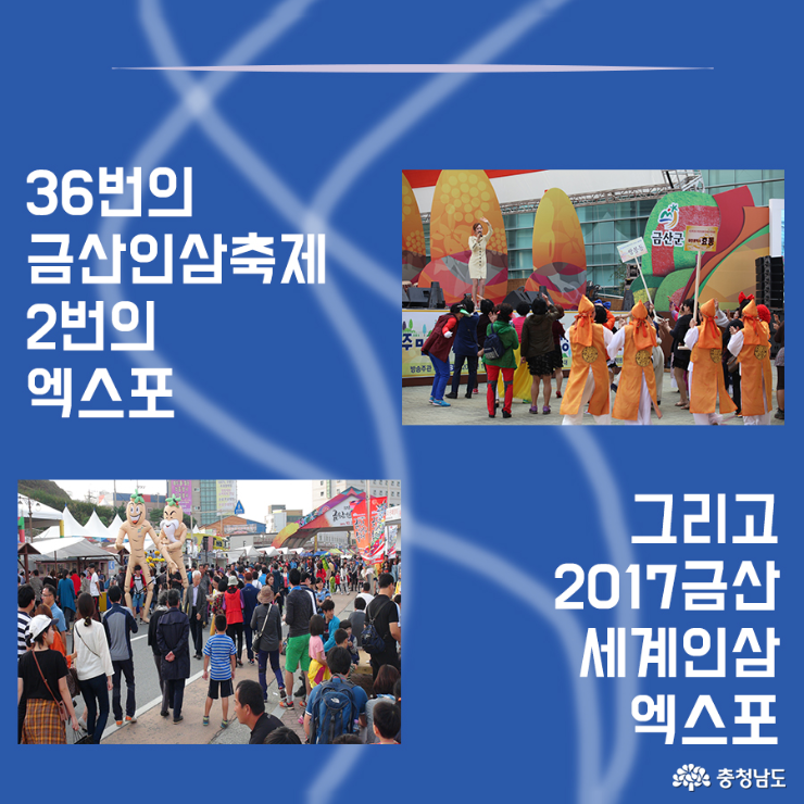 카드뉴스2017금산세계인삼엑스포 7