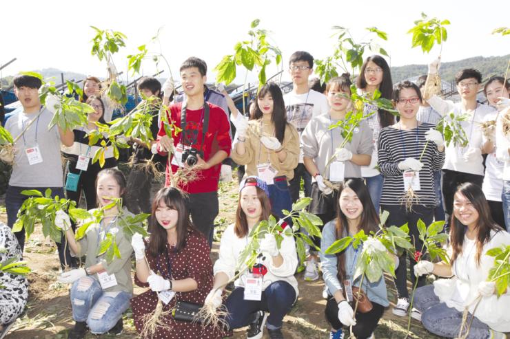 2017금산세계인삼엑스포를 앞두고 중국인유학생 홍보단원들이 충남 금산을 찾아 직접 인삼을 채취하는 체험을 하고 있다. 