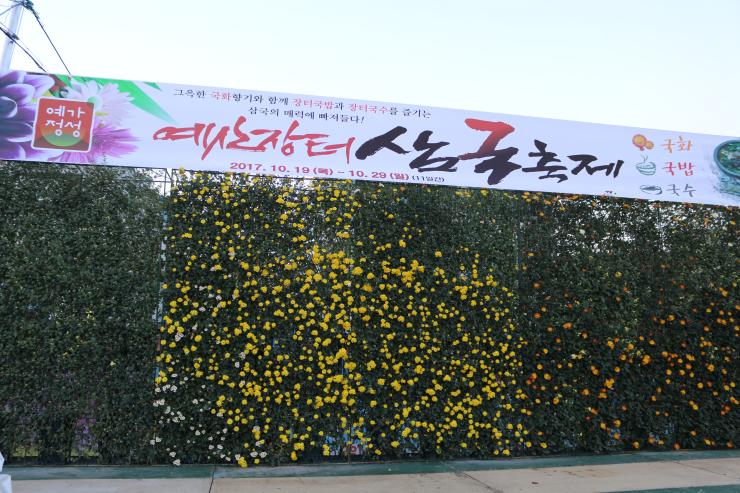 화려한국화꽃속에개최한예산삼국축제 2