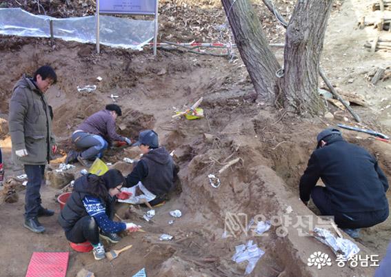 세일금광 유해발굴 현장. 특히 나무 주변 뿌리에 휘감긴채 발굴되는 유해가 많이 보였다.