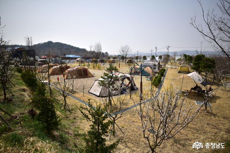 봄 여행은 캠핑 명소인 아트 캠핑 빌리지에서 사진