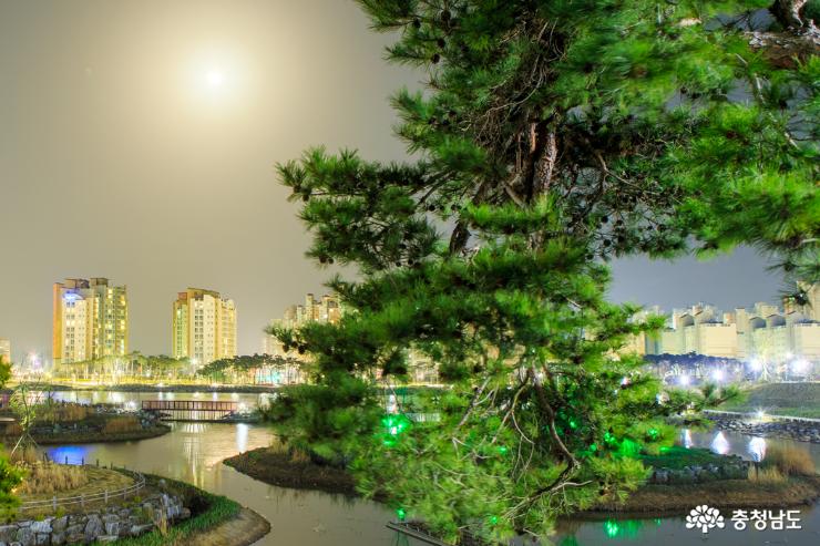 아름다운 내포신도시 홍예공원 야경 사진