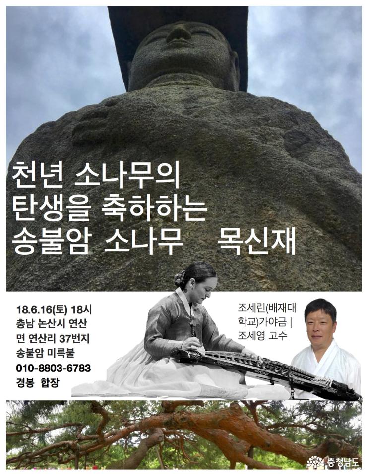 논산 송불암 미륵불 천년송 목신재 사진