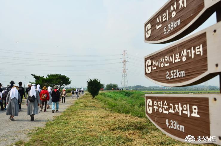 Let's stroll along "Beogeunae Pilgrimage Path"