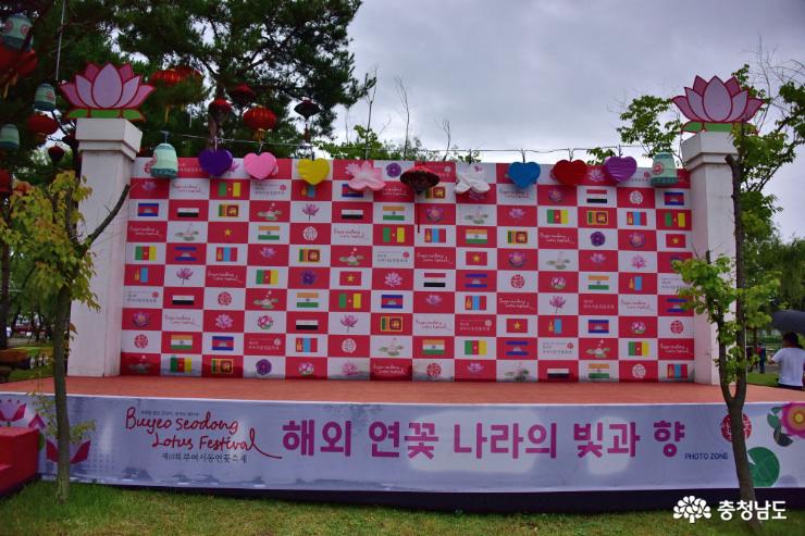 대한민국 여름철 대표축제, 부여서동연꽃축제 사진