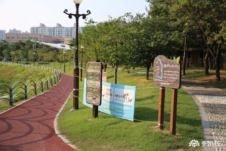 폭염속에서도 걸어보는 천안천변공원
