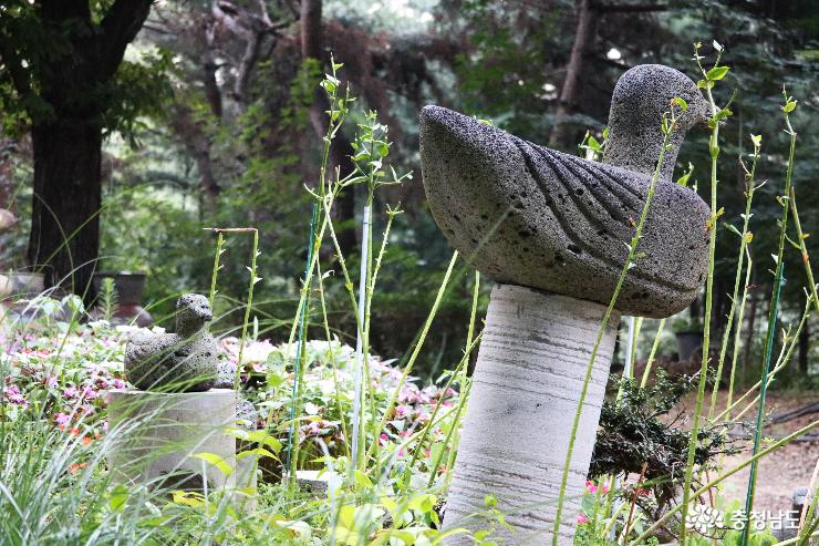 여름꽃 만발한  '아름다운 정원 화수목' 사진