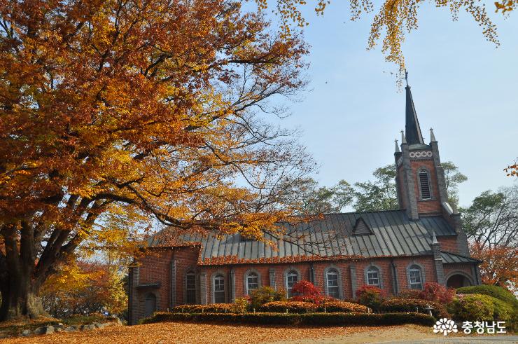 깊은 가을을 담은 공세리 성당